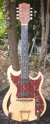 Electric mandola with - mandola, (with