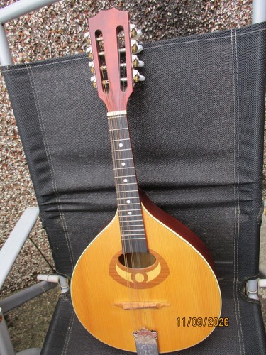 Ozark mandolin solid - mandolin, wood